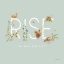 Picture of FALL FESTIVAL XVIII ON SOFT TEAL