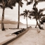 Picture of PARADISE FOUND I