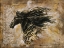 Picture of HORSE HEAD