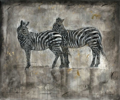 Picture of ZEBRA