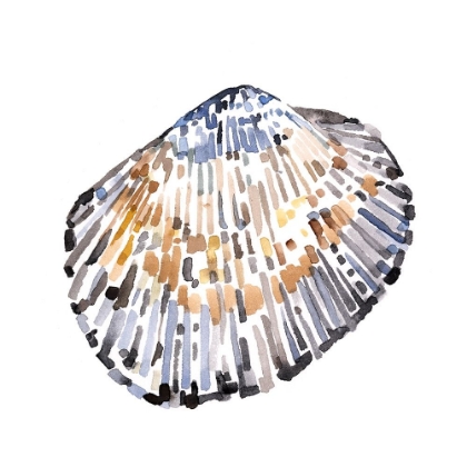 Picture of SIMPLE SHELLS IV