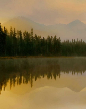 Picture of TWILIGHT REFLECTION I