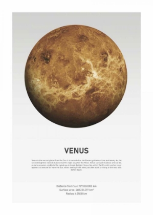Picture of VENUS LIGHT