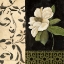 Picture of NEGRO Y BLANCO SIMPLICIDAD I