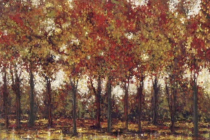 Picture of BORDEAUX TREES