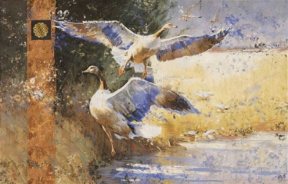 Picture of GOOSE II-GOLD