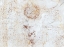 Picture of ELEMENTS-7L