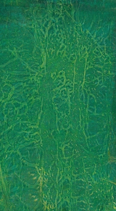 Picture of INTERWOVEN-2L