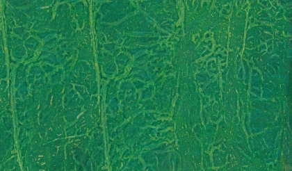 Picture of INTERWOVEN-4L