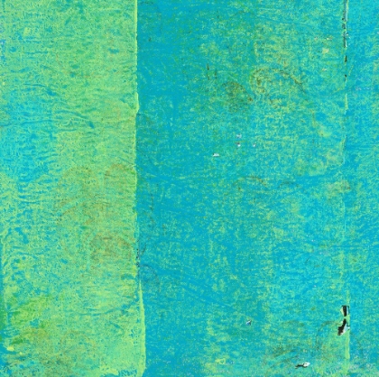 Picture of PARTY PALMS-4L