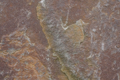 Picture of TEX SURFACE S18