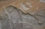 Picture of TEX SURFACE S30