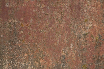 Picture of RUST 35