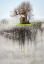 Picture of ROOTS