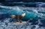 Picture of BIG FIN