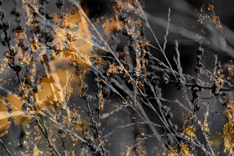 Picture of GOLD STICKS