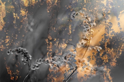 Picture of GOLD STICKS 3