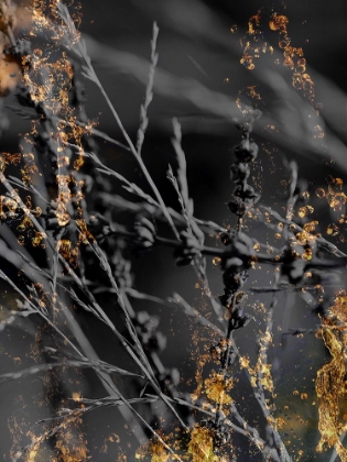 Picture of GOLD STICKS 2