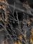 Picture of GOLD STICKS 2