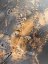 Picture of GOLD STICKS 4
