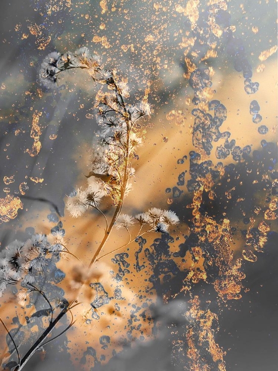 Picture of GOLD STICKS 4
