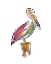 Picture of PELICAN