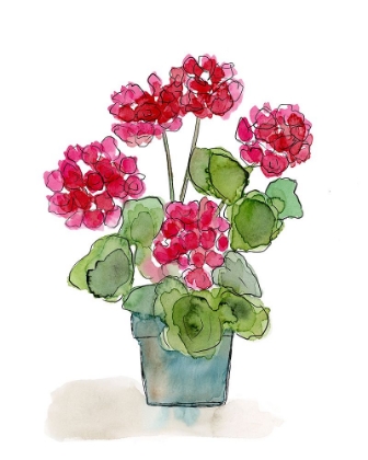 Picture of WATERCOLOR GERANIUMS