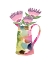 Picture of WATERCOLOR PITCHER