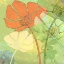 Picture of FLORAL SHADOWS 2
