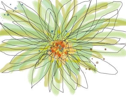 Picture of SUMMER GERBERA