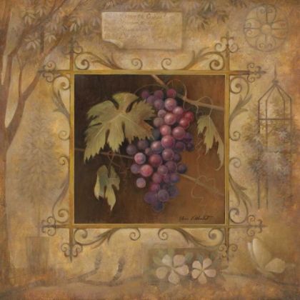 Picture of UVA BELLA ROSA
