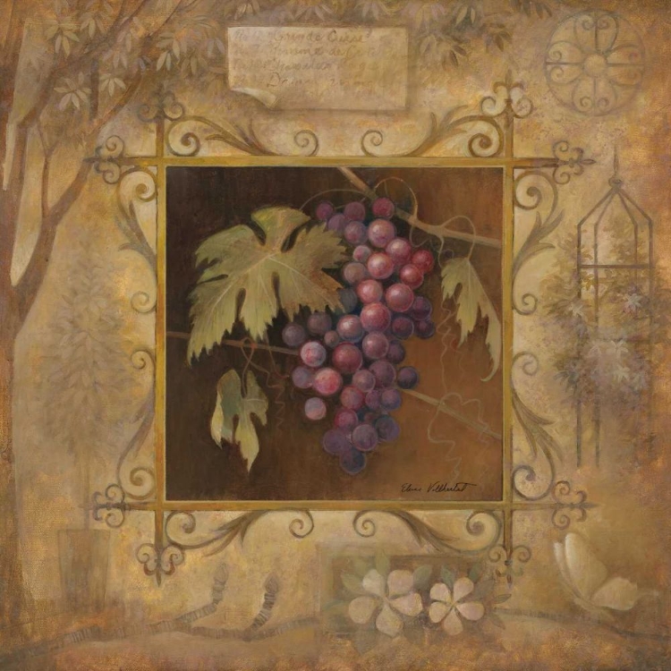 Picture of UVA BELLA ROSA