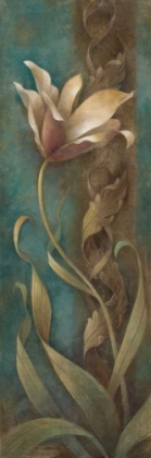 Picture of GRACIEUX I