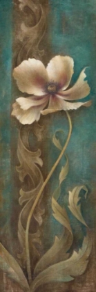 Picture of GRACIEUX II