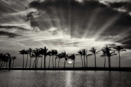 Picture of SUMMER BREEZES II