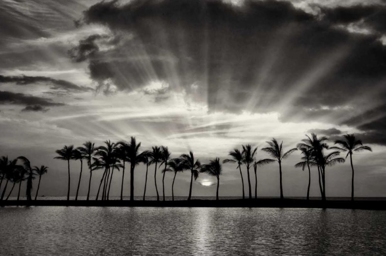 Picture of SUMMER BREEZES II