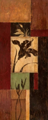 Picture of TULIP SHADOW
