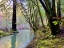 Picture of BOHEMIAN CREEKSIDE
