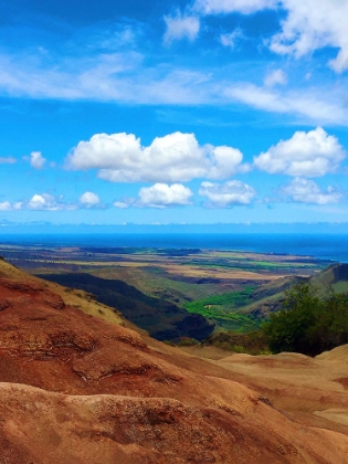 Picture of WAIMEA VIEW
