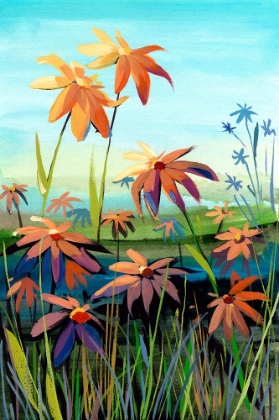 Picture of DAISIES IN SUNSET COLORS