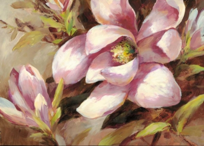 Picture of MAGNOLIA WHISPER