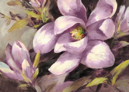 Picture of PLUM MAGNOLIA WHISPER