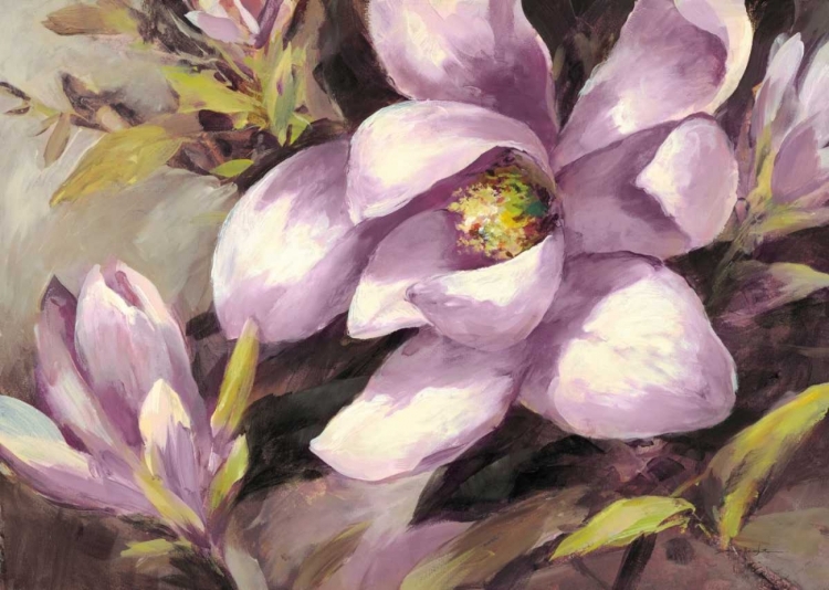Picture of PLUM MAGNOLIA WHISPER