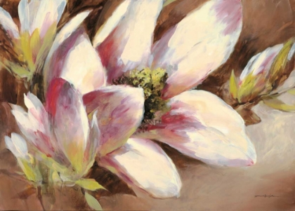 Picture of MAGNOLIA BREEZE