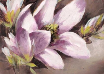 Picture of PLUM MAGNOLIA BREEZE