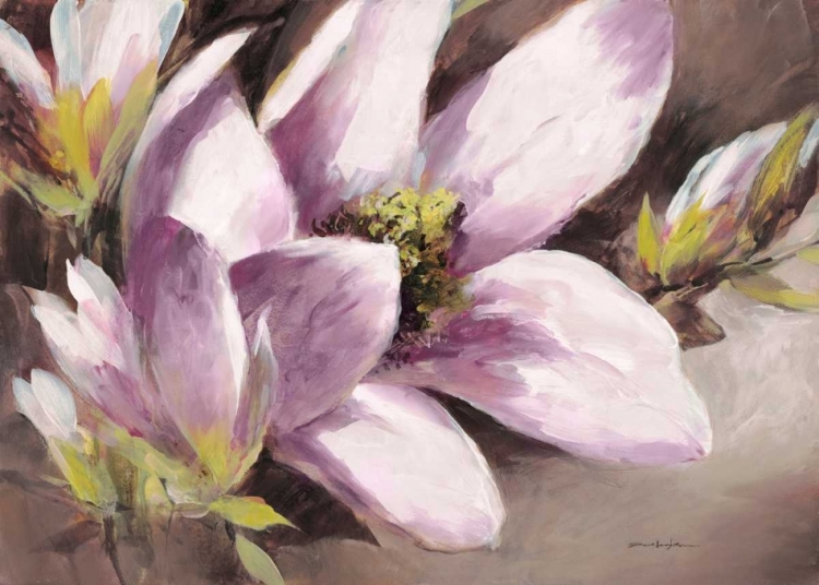 Picture of PLUM MAGNOLIA BREEZE
