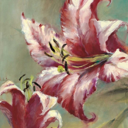 Picture of BLOOMING LILY
