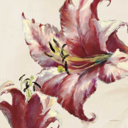 Picture of BLOOMING LILY ON CREAM