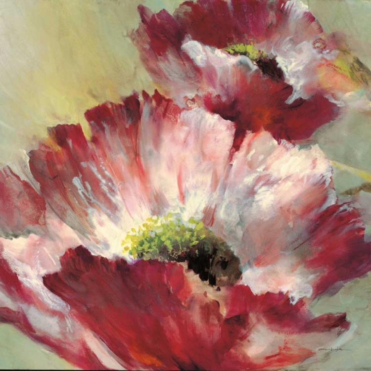 Picture of LUSH POPPY