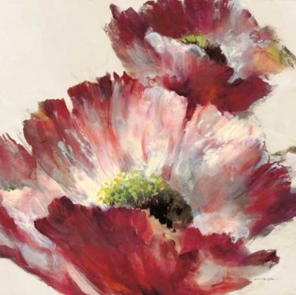 Picture of LUSH POPPY ON CREAM